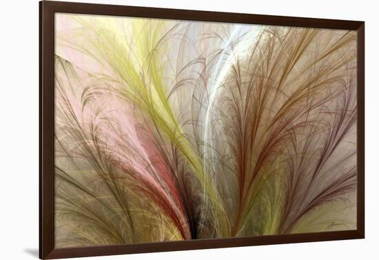 Fountain Grass II-James Burghardt-Framed Art Print