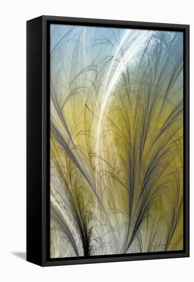 Fountain Grass III-James Burghardt-Framed Stretched Canvas