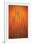 Fountain Grass In Orange-Steve Gadomski-Framed Photographic Print