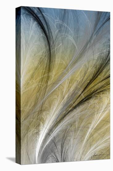 Fountain Grass IV-James Burghardt-Stretched Canvas