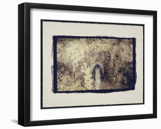 Fountain head-Theo Westenberger-Framed Art Print