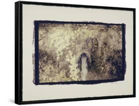 Fountain head-Theo Westenberger-Framed Stretched Canvas
