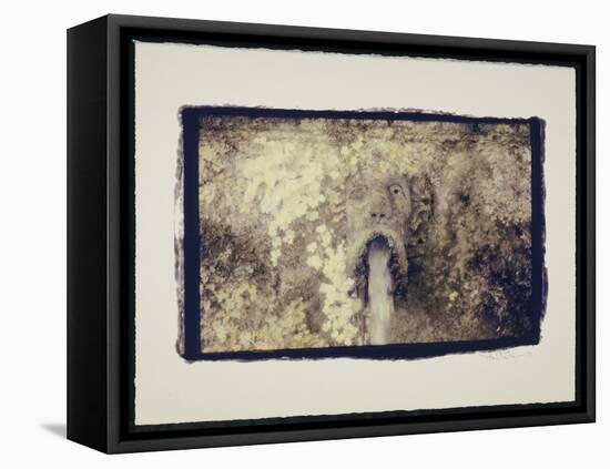 Fountain head-Theo Westenberger-Framed Stretched Canvas