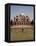 Fountain, Humayun's Tomb, Delhi, India, Asia-null-Framed Stretched Canvas