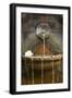 Fountain I-Karyn Millet-Framed Photographic Print