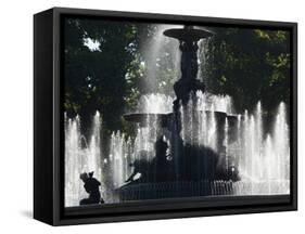 Fountain in a Park, General San Martin Park, Mendoza, Argentina-null-Framed Stretched Canvas