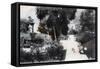 Fountain in a Public Garden, Hong Kong, 20th Century-null-Framed Stretched Canvas