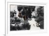 Fountain in a Public Garden, Hong Kong, 20th Century-null-Framed Giclee Print