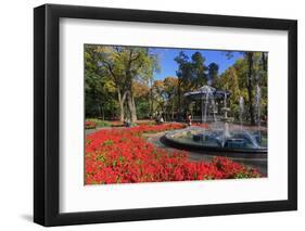 Fountain in City Garden, Odessa, Crimea, Ukraine, Europe-Richard Cummins-Framed Photographic Print