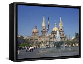 Fountain in Front of the Christian Cathedral in Guadalajara, Jalisco, Mexico, North America-Michelle Garrett-Framed Stretched Canvas