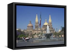 Fountain in Front of the Christian Cathedral in Guadalajara, Jalisco, Mexico, North America-Michelle Garrett-Framed Stretched Canvas