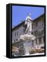 Fountain in Piazza Delle Erbe, Verona, Unesco World Heritage Site, Veneto, Italy, Europe-Gavin Hellier-Framed Stretched Canvas