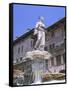 Fountain in Piazza Delle Erbe, Verona, Unesco World Heritage Site, Veneto, Italy, Europe-Gavin Hellier-Framed Stretched Canvas