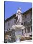 Fountain in Piazza Delle Erbe, Verona, Unesco World Heritage Site, Veneto, Italy, Europe-Gavin Hellier-Stretched Canvas