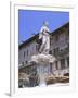 Fountain in Piazza Delle Erbe, Verona, Unesco World Heritage Site, Veneto, Italy, Europe-Gavin Hellier-Framed Photographic Print