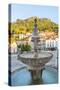 Fountain in Sintra, Near Lisbon, Portugal-Peter Adams-Stretched Canvas
