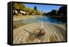 Fountain in the Alcazar De Los Reyes Cristianos, Cordoba, Andalucia, Spain-Carlo Morucchio-Framed Stretched Canvas