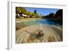 Fountain in the Alcazar De Los Reyes Cristianos, Cordoba, Andalucia, Spain-Carlo Morucchio-Framed Photographic Print