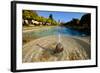 Fountain in the Alcazar De Los Reyes Cristianos, Cordoba, Andalucia, Spain-Carlo Morucchio-Framed Photographic Print