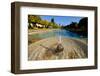 Fountain in the Alcazar De Los Reyes Cristianos, Cordoba, Andalucia, Spain-Carlo Morucchio-Framed Photographic Print