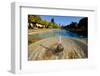 Fountain in the Alcazar De Los Reyes Cristianos, Cordoba, Andalucia, Spain-Carlo Morucchio-Framed Photographic Print