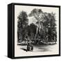 Fountain in the Borghese Gardens, Rome and its Environs, Italy, 19th Century-null-Framed Stretched Canvas