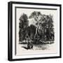 Fountain in the Borghese Gardens, Rome and its Environs, Italy, 19th Century-null-Framed Giclee Print