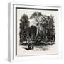 Fountain in the Borghese Gardens, Rome and its Environs, Italy, 19th Century-null-Framed Giclee Print