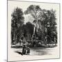 Fountain in the Borghese Gardens, Rome and its Environs, Italy, 19th Century-null-Mounted Giclee Print