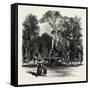 Fountain in the Borghese Gardens, Rome and its Environs, Italy, 19th Century-null-Framed Stretched Canvas