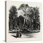 Fountain in the Borghese Gardens, Rome and its Environs, Italy, 19th Century-null-Stretched Canvas