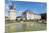 Fountain in the park of Chenonceau castle, UNESCO World Heritage Site, Chenonceaux, Indre-et-Loire,-Francesco Vaninetti-Mounted Photographic Print