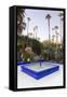 Fountain, Jardin Majorelle, Owned by Yves St. Laurent, Marrakech, Morocco, North Africa, Africa-Stephen Studd-Framed Stretched Canvas