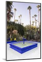 Fountain, Jardin Majorelle, Owned by Yves St. Laurent, Marrakech, Morocco, North Africa, Africa-Stephen Studd-Mounted Photographic Print