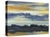 Fountain Lake II-Jennifer Goldberger-Stretched Canvas