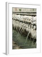 Fountain of 99 Spouts-null-Framed Giclee Print