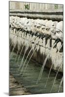 Fountain of 99 Spouts-null-Mounted Giclee Print