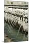 Fountain of 99 Spouts-null-Mounted Giclee Print