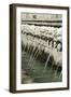 Fountain of 99 Spouts-null-Framed Giclee Print