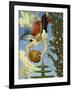 Fountain of Life-Peter Harrap-Framed Giclee Print