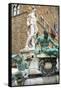 Fountain of Neptune (Biancone), Firenze, UNESCO, Tuscany, Italy-Nico Tondini-Framed Stretched Canvas