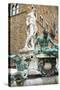 Fountain of Neptune (Biancone), Firenze, UNESCO, Tuscany, Italy-Nico Tondini-Stretched Canvas