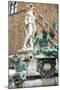 Fountain of Neptune (Biancone), Firenze, UNESCO, Tuscany, Italy-Nico Tondini-Mounted Photographic Print