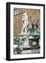 Fountain of Neptune (Biancone), Firenze, UNESCO, Tuscany, Italy-Nico Tondini-Framed Photographic Print