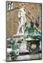 Fountain of Neptune (Biancone), Firenze, UNESCO, Tuscany, Italy-Nico Tondini-Mounted Photographic Print