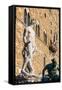 Fountain of Neptune (Biancone), Florence (Firenze), Tuscany, Italy, Europe-Nico Tondini-Framed Stretched Canvas