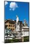 Fountain of Neptune (Biancone), Florence (Firenze), Tuscany, Italy, Europe-Nico Tondini-Mounted Photographic Print