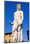 Fountain of Neptune (Biancone), Florence (Firenze), Tuscany, Italy, Europe-Nico Tondini-Mounted Photographic Print