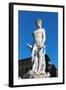 Fountain of Neptune (Biancone), Piazza Signoria, Florence (Firenze), Tuscany, Italy, Europe-Nico Tondini-Framed Photographic Print