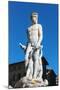 Fountain of Neptune (Biancone), Piazza Signoria, Florence (Firenze), Tuscany, Italy, Europe-Nico Tondini-Mounted Photographic Print